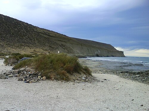 Descubre Rada Tilly: Un Tesoro en la Patagonia Argentina