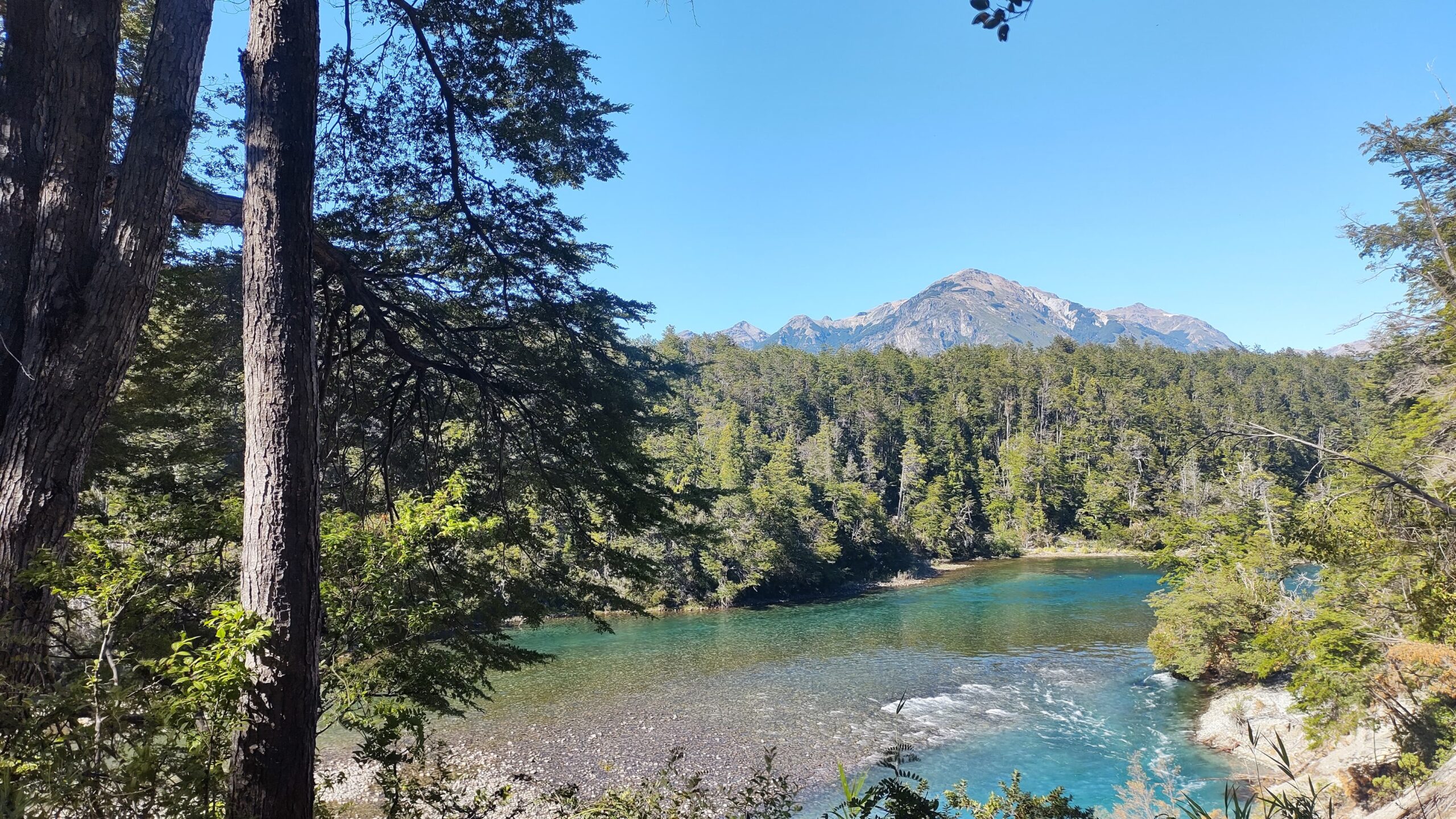 Parque Nacional Los Alerces, Chubut: Un Santuario Natural en la Patagonia Argentina