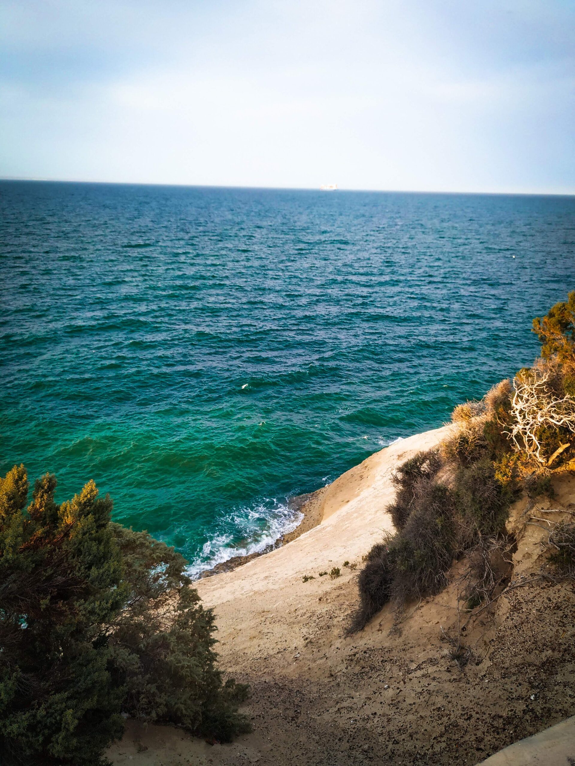 Puerto Madryn: La Joya de la Patagonia Argentina